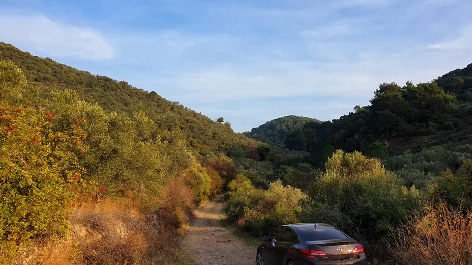 SAMANLIKKÖY'DE KADASTRO YOLA SIFIR SATILIK 4100 m2! ARAZİ
