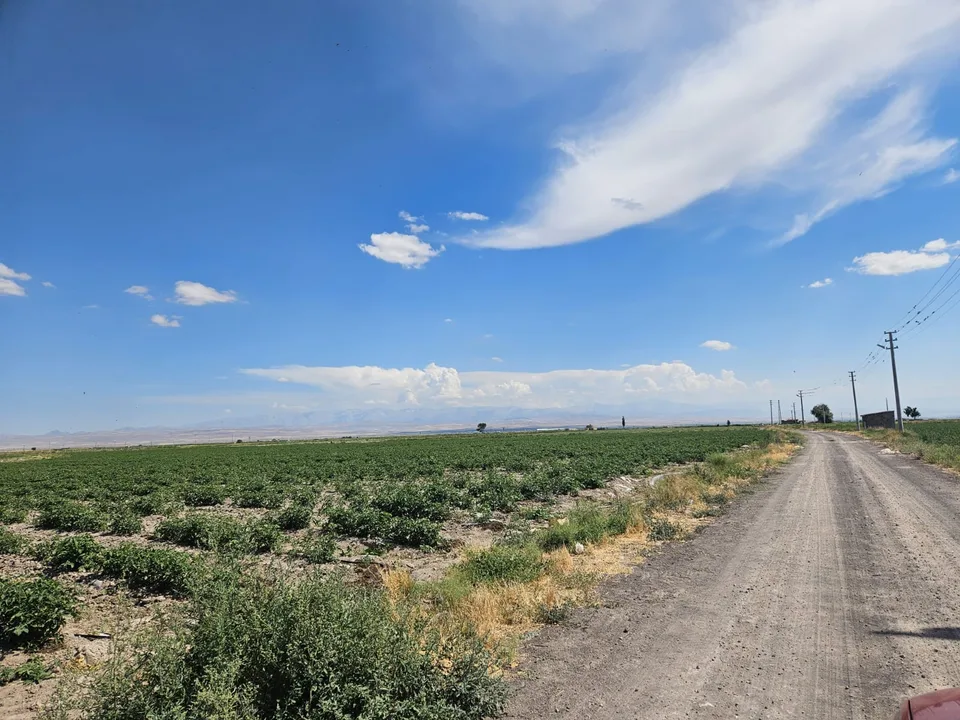 Niğde Bor Kızılca'da Satılık 13481 m² Tarla